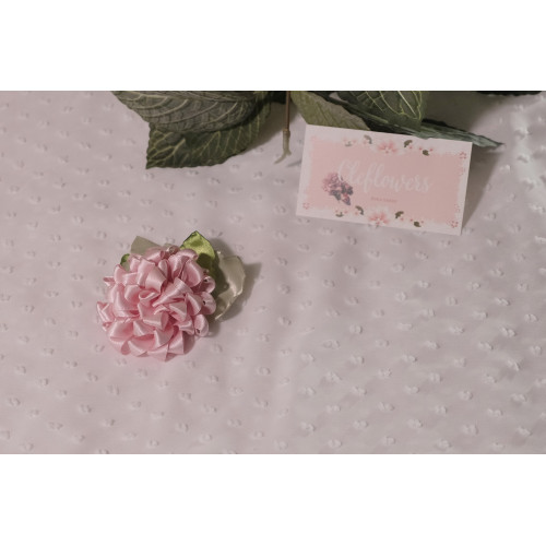 Piespraude Piespraude