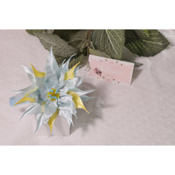 Matu stīpa Matu stīpa